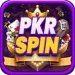 PKRSPIN